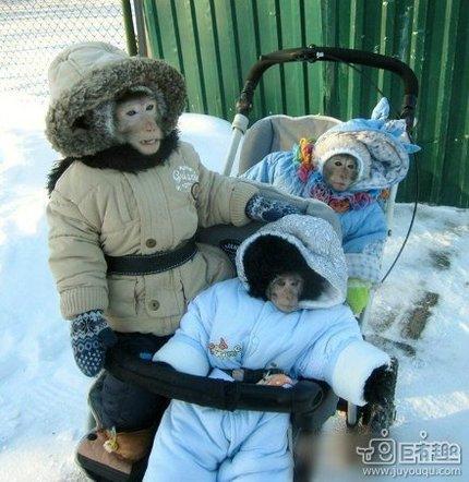 艾玛,终于下雪了,带孩子们出来看看雪。_搞笑