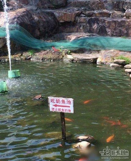 难道是吃三鹿奶粉?_搞笑_hao123上网导航让图片飞子弹表情包图片